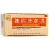 Zhongjing Guifu Dihuang Pills Concentrated Pills 200 Warm and Kidney Yang for Cold Urination of Sour and Soft Limbs