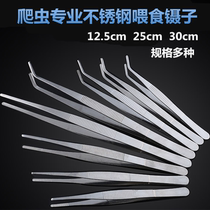 Creeper Creeper Stainless Steel Feeding Clip Tweezers Tortoise Horned Frog Fish Tank Water Grass Tank Cleaning Planting Tool