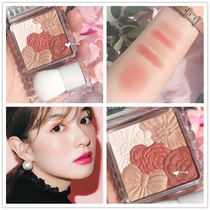 Japanese canmake Five Color Petal Blush Plate Highlight Repair Powder 10 13 14 Matte 5# Pumpkin