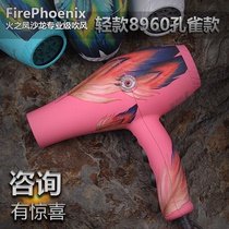 Fires Fengfeng 8960 hair salon special electric blow mechanism hair store high power hot and cold domestic wind cylinder hair type division