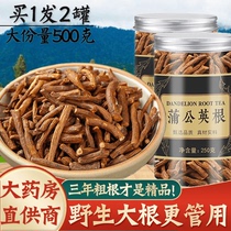 Dandelion root tea Changbai Mountain fresh 500g official flagship store non-premium fried dandelion fried and cooked without washing