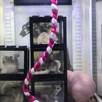 Nono pa chong from the studio