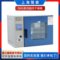 Shanghai Hui Tai Desktop Blast Drying Cabinet Table Blast Oven Drying Box DHG Series Stainless Steel Liner