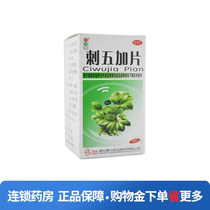 Traffic lights Acanthopanax senticosus tablets 100 tablets box replenishing Qi invigorating the spleen and invigorating the nerves