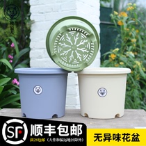 Shepherd Snow Flowerpots Resin Control Root Deepot Gallon Pots Net Red Plastic Large Flower Pots 2021 New Clear Bin