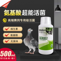 Gladracing pigeon special live bacteria king dove with parrot species pigeon dove intestinal conditioning dove medicine to help digest common illness