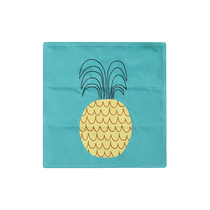 NOME home cold gel cushion