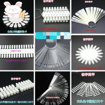 Nail art test color nail tablets novice art apprentice nail nail practice model beginners