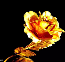 Fine imported gold powder glitter powder super bright gold gold powder pearl powder pigment powder Buddha statue shiny gold powder