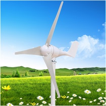 100W300w400w outdoor marine household small wind turbine wind and solar complementary street lamp monitoring 12V24V