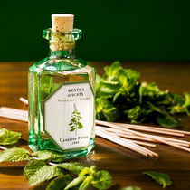  Creeper French BOTANIST CARRIERE FRERES INDOOR SMOKE-free SOOTHING INCENSE FOLDING FAN 618