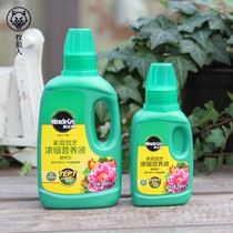 Melaleuca nutrient solution Plant universal green dill flower hydroponic soil potted flower liquid fertilizer