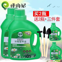 Green Luo Watered Flower Fertilizer Flower Fertilizer Plant Nutrient Solution Green Plant Liquid Fertilizer Soil Indoor Water Culture Water Culture Water Water Pillation Narcissus