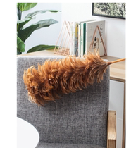 Feather Zen sub-car dust home difficult off mao sao ash vehicle scalable sweep car dust sao chen car duster