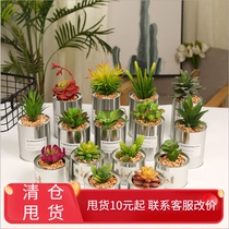 ins Nordic Wind Cactus Cactus ball Wanheavy Mountain Office Multi-meat Plant with basin Radiation-Resistant Iron Pot Potted