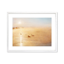 Limited to 300 editions] Zhao Xinyus print Swan modern realistic light luxury background wall high-end decorative painting hanging painting