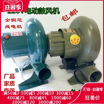 220V small household electric blower barbecue blow carbon combustion stove coal stove egg aberdeen hair dryer