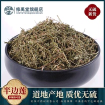 Lobelia 50g-1000g Golden Chrysanthemum grass half chrysanthemum half flag half side with Chinese herbal medicine