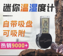 Climbing pet ciliary horned palace guard giant hygrometer lizard snake tortoise box electronic thermometer recommended reptizoo