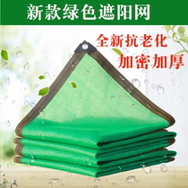 Green Shading Nets Sunscreen Shade Internet Encryption Thickened Multi-Meat Plant Flowers Orchid Balcony Green Mesh Shading