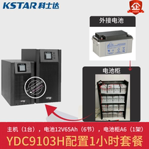 Costda UPS Power YDC9103H-B 1 hour package with 12V65Ah battery