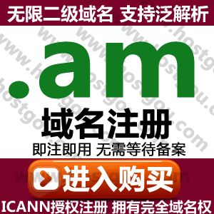 am domain name registration supports pan-resolution unlimited second-level name domain Mi Radio Armenian website purchase