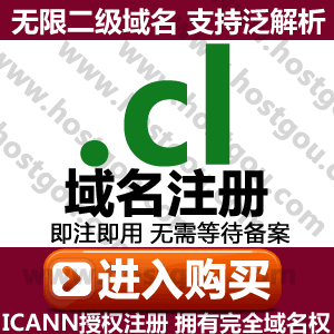  cl domain registration Support pan-resolution Unlimited second-level domain Rice foreign trade Chile website purchase application