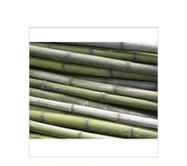 The bamboo pole and the flag flag pole need 2 meters.