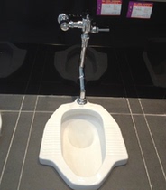 TOTO squatter on the water squat pit manual valve step on the flushing valve CW9RB DC603VSR DC603VSFR