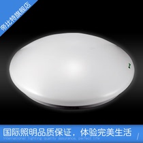 Engineering semi-circle ceiling lamp aisle light LED bread lamp Sun table lamp kitchen lamp toilet lamp ceiling flat round lamp