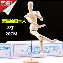8-inch wooden model 20cm sketch puppet wooden joint doll modeling comic tool
