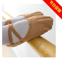 Chen Ting double canvas cat claw heart dance shoes soft soled ballet shoes men and women dance shoes