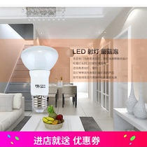 Foshan LED Foshan energy-saving LED Yuba lighting bulb E27 screw mouth mushroom bubble frosted moisture-proof R63