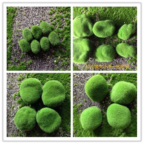 Planting stone simulation Stone green stone simulation Moss Stone Moss flower arrangement material Moss Stone