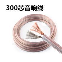 322 Core Speaker Line Surrounding Line horn Line with nerve Line Sound Line 2 * 300 Core Oxygen-free Brass Horn Wire