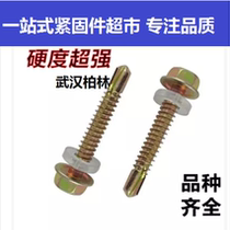 Hexagon drill tail screw Color steel tile extended self-tapping self-drilling screw dovetail screw M5 5*19-125