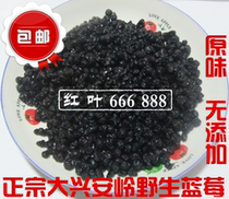 Sugar-free wild blueberry snacks baked original Blueberry dried fruit 500g Xinganling blue plum dry without additives