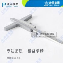 Ha-scale cursor depth caliper 0-200 300 500 Accuracy 0 02mm step thickness measurement for sale