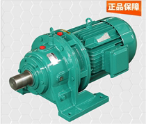 BWY BLD Cycloid pin wheel reducer 0 75 1 1 2 2 3kw Horizontal vertical 380V mixing motor