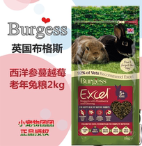 Spot Seconds Hair British Burgess Small Red Berry Ginseng Buggs Aged Rabbit Grain 2KG Self-proclaimed Split