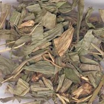 Chinese herbal medicine light bamboo leaves gold bamboo leaves bamboo leaf tea 500 gr quality assurance