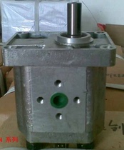 High pressure gear pump CBN gear pump CBN-E304 306 310 314 316 320 etc CBN-F310
