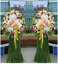 Shanghai Beijing opening flower basket Flowers Tongcheng Express Opening housewarming business celebration Star performance Hong Kong-style flower basket
