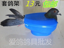 Pigeon lovers Pigeon supplies Carrier pigeon fixer Feeding vaccine Watching pigeon eye fixer