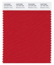 Color Pass Color Card Authentic American Original Dress TCX (10 * 20) Cotton Fabric Color Card Single 2625 Color Optional