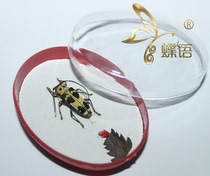 Butterfly language: special Tianben specimen box pest insect specimen primary school science education real insects