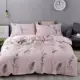Мечта девушки