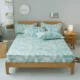 Giường chà nhám dày Tấm trải giường bằng vải bông đơn 1,2 m trải giường bảo vệ tấm trải 笠 笠 nệm cao 5 	ga chun trải giường 2mx2m2	
