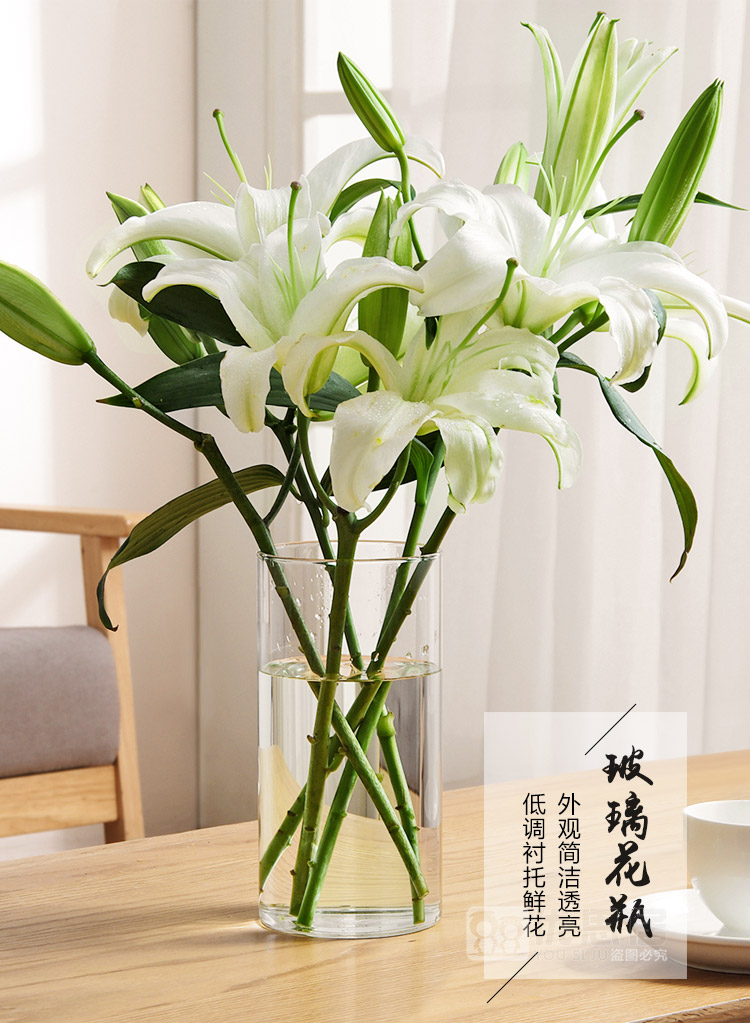 哚啦家透明玻璃花瓶簡約客廳擺件家用水培鮮花富貴竹百合花瓶 生活用品 實用 超值特價 創意 Yahoo奇摩拍賣 哚啦家透明玻璃花瓶簡約客廳擺件家用水培鮮花富貴竹百合花瓶 生活用品 實用 超值特價 創意 Yahoo奇摩拍賣