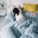 ins Bắc Âu mạng đỏ rửa sạch bông denim bông trải giường chăn bông màu đơn giản giường đôi - Bộ đồ giường bốn mảnh